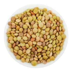 甘肃老品种小扁豆新鲜杂粮干货