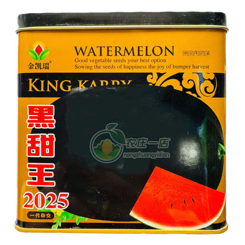 特大黑皮西瓜种子黑甜王高产抗病