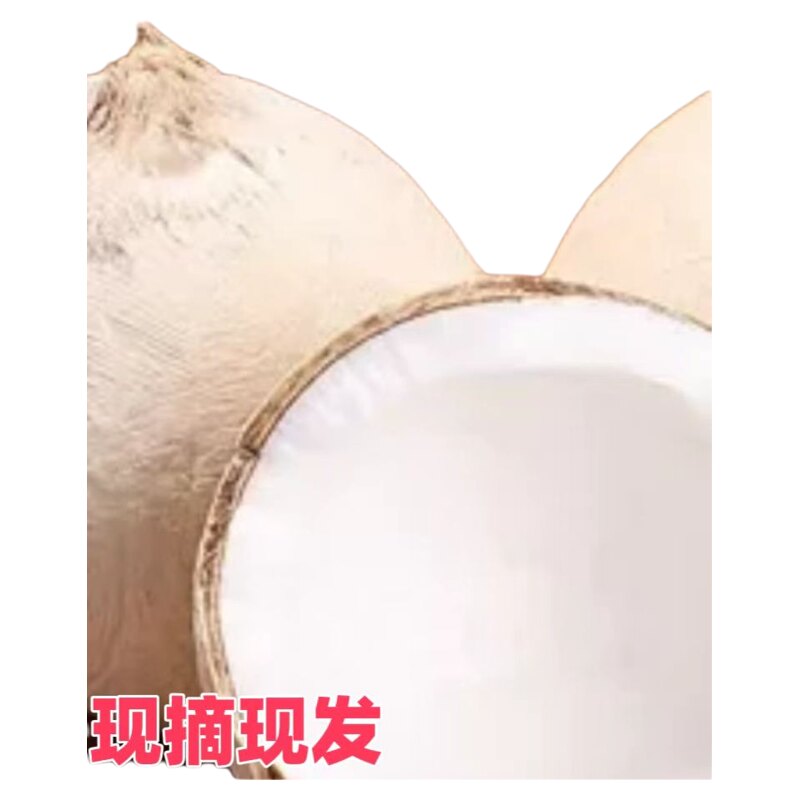 正宗海南小个牛奶香椰子椰青椰白