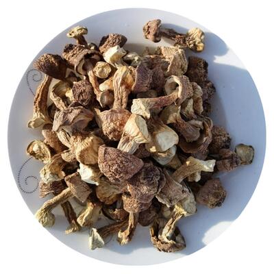 姬松茸菇干货东北特产巴西菇蘑菇