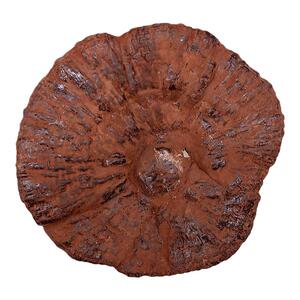 灵芝500g长白山半野生林芝整朵干货一斤装含孢子粉紫灵芝切片泡酒