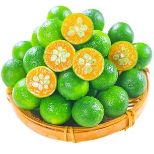 海南小金桔小青柠檬新鲜水果当季香水青金桔黄奶茶店专用百香整箱