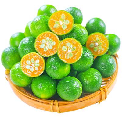 小青金桔！酸爽多汁！泡饮搭档！