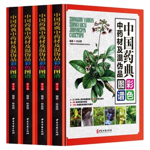 中国药典中药材及混伪品彩色图谱全套4册彩图版 中草药中药材饮片鉴别彩色图谱 图解本草纲目正版彩图植物图鉴中医学养生保健书籍