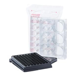 96孔细胞培养板6 12 24 48孔无菌黑色酶标板圆尖底贴壁细菌培养皿