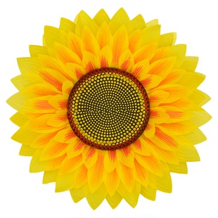 开幕运动会入场道具向日葵手拿花舞台演出太阳花幼儿园舞蹈道具花