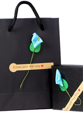 925纯银黑色项链女简项圈短款