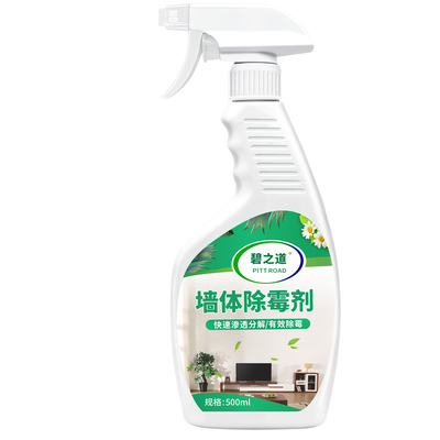碧之道除霉剂去霉斑霉菌墙体