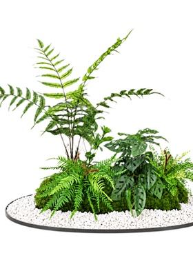 高仿真绿色蕨类植物肾蕨大叶蕨草热带雨林软胶绿植墙面景观造景
