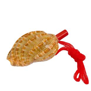 天然海螺号角可吹喇叭口哨超大贝壳哨子儿童玩具哨小螺号能吹响的