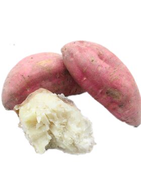 哈密冰糖薯白心番薯新鲜
