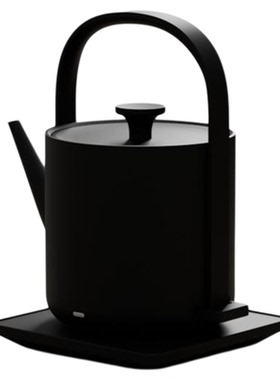 民宿茶室烧水壶泡茶专用煮茶器