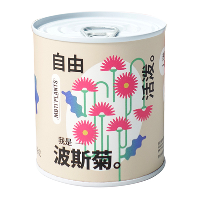 儿童种植小盆栽网红种植罐头