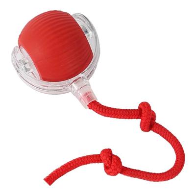 自动逗猫球猫咪玩具自嗨解闷智能逗猫棒消耗体力突突球电动猫神器