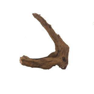 鱼缸装饰乌龟躲避晒台爬宠造景木鬃狮蜥蜴攀爬木紫柚沉木造景摆件