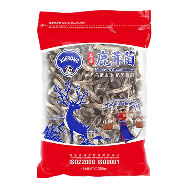 雪榕新鲜煲汤营养菌菇干货