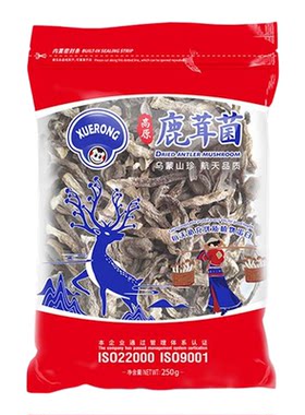 雪榕新鲜煲汤营养菌菇干货