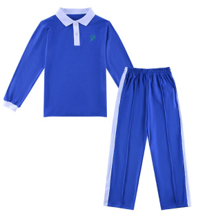 深圳校服小学生春秋季运动服礼服班服男女款秋衣蓝色长袖长裤套装