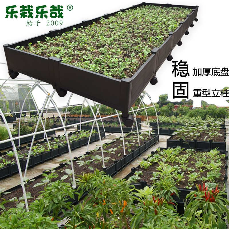 特大田蔬菜种植箱楼顶种菜专用箱屋顶种菜盆家庭神器特大花盆120