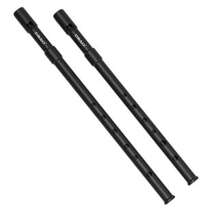 爱尔兰树脂哨笛C调D大调哨笛六孔直笛初学者入门学生课堂教学笛子