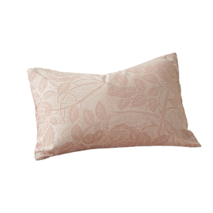 提花枕套一对装2025新款纯棉全棉枕头套夏季单个48cmx74cm整头套