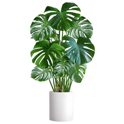 精品大叶龟背竹客厅大盆栽办公室