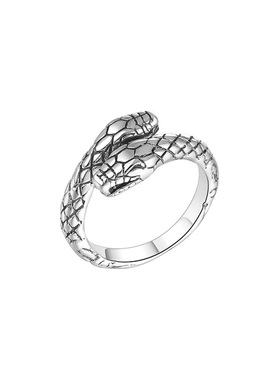 蛇形钛钢戒指男时尚个性冷淡