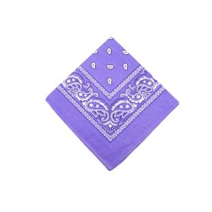 THECOLOR BANDANA港风腰果花方巾男士复古机车头巾围巾紫色发带女