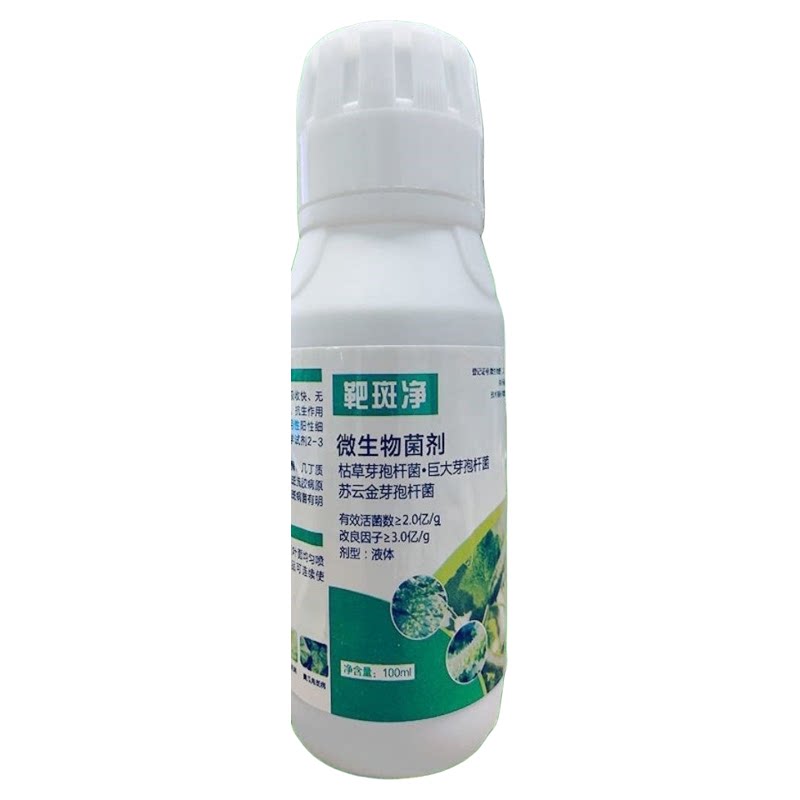 黄瓜靶斑病专用药效果细菌性病害