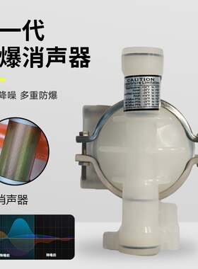 威尔顿隔膜泵WILDEN P.025/PPPPP/WFS/TF/PWF/酸碱泵化工泵加药泵