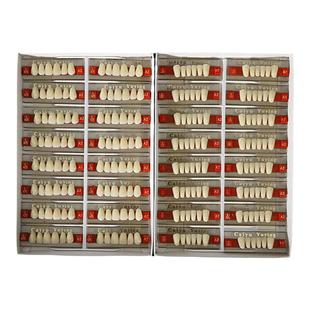 牙科材料 采玉合成树脂牙 上门牙6X1 前牙玉鹰全口义齿 后牙8x1