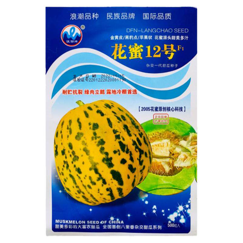 高糖新品种绿肉干瓤八里香种子籽