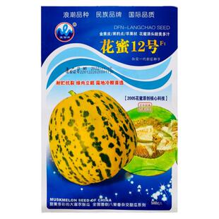 八里香甜瓜种子超甜正品薄皮高糖特甜大果花蜜香瓜种籽孑春季四季