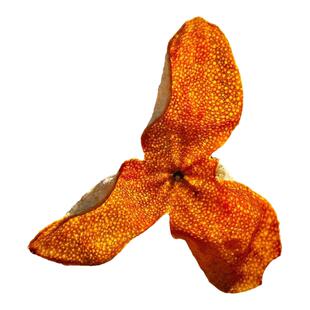 正宗干仓新会陈皮2021年新皮梅江圈枝柑老树冬后大红皮茶广东特产