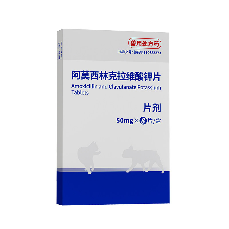 养宠常备宠物专用抗菌消炎药