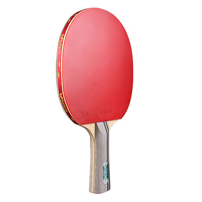 蝴蝶专业级四星学生乒乓球拍