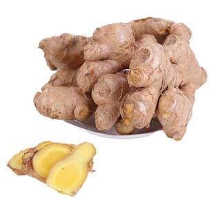现挖新鲜小黄姜1-5斤嫩姜生姜老姜块高山月子姜沙姜土姜蔬菜当季