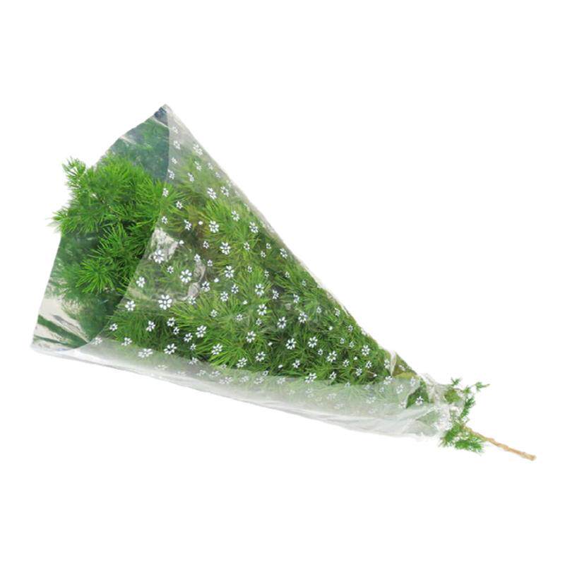 新鲜沁蕊松针1小束蓬莱松