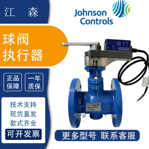 议价江森VG1205AN/BN VG1205CP VG1205ES FT 电动二通螺纹球阀 VA