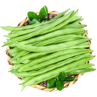 四季豆新鲜现摘云南长扁豆角农家应当季蔬菜芸豆现摘菜豆整箱包邮