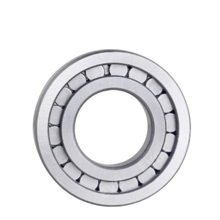 EVB进口满装圆柱滚子轴承NCF202 203 204 205 206 207 208 209VRS