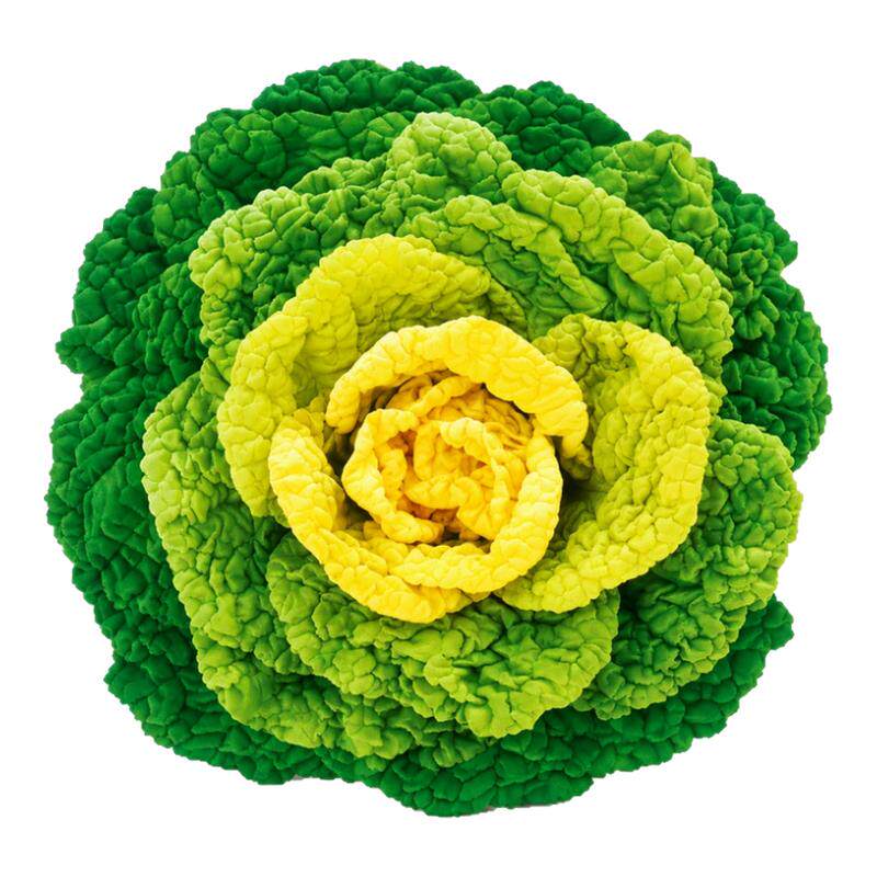 黄心乌菜种种子种籽乌塌菜雪里金花青菜蔬菜孑白菜黑菜乌塔菜菜籽