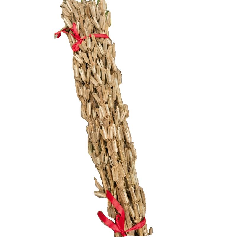 芝麻杆芝麻穗整颗芝麻杆子优质中药材家用客厅装饰芝麻梗节节高