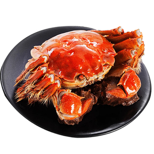 [活蟹]鲜活特大公母配对大闸蟹阳澄苏州湖蟹河蟹螃蟹母蟹生鲜礼盒