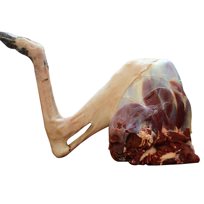 鹿肉新鲜现杀整枝梅花鹿腿正宗东北长白山梅花鹿鹿腿带蹄速冻保鲜