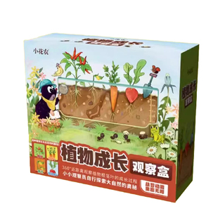 儿童植物生长观察盒哪吒种植小盆栽透明罐头小花农学生发芽根系窗