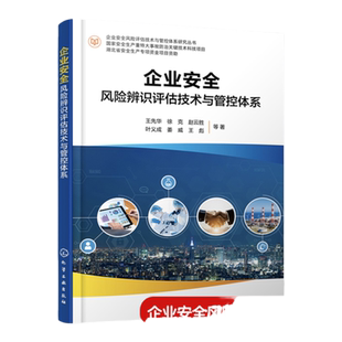 企业安全风险评估技术与管控体系研究丛书 企业安全风险辨识评估技术与管控体系 王先华 高风险物品工艺设备场所作业风险管控理论