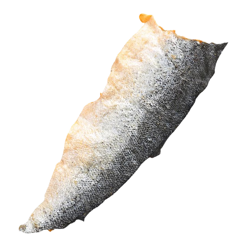 狗狗磨牙棒冻干三文鱼皮宠物零食磨牙洁齿一整张富含鱼油美毛亮毛