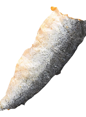 冻干三文鱼皮狗狗零食磨牙洁齿