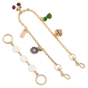 匠心工厂坊适用coach蔻驰水桶包延长链Rowan21肩带加长链条装饰链